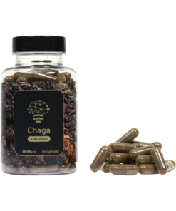 Chaga Extract Mushroom Capsules