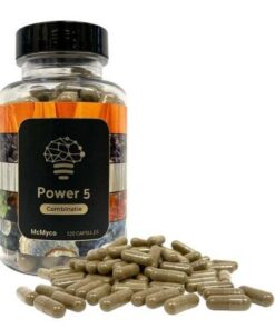 Power 5 Mushroom Extract – 120 Capsules