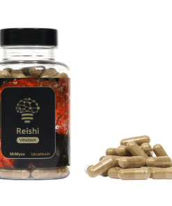 Reishi Mushroom Extract – 120 Capsules