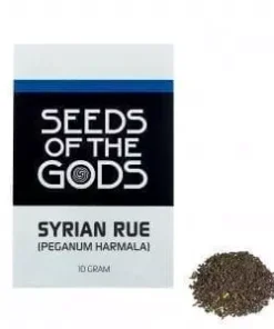 Syrian Rue Peganum Harmala - Seeds